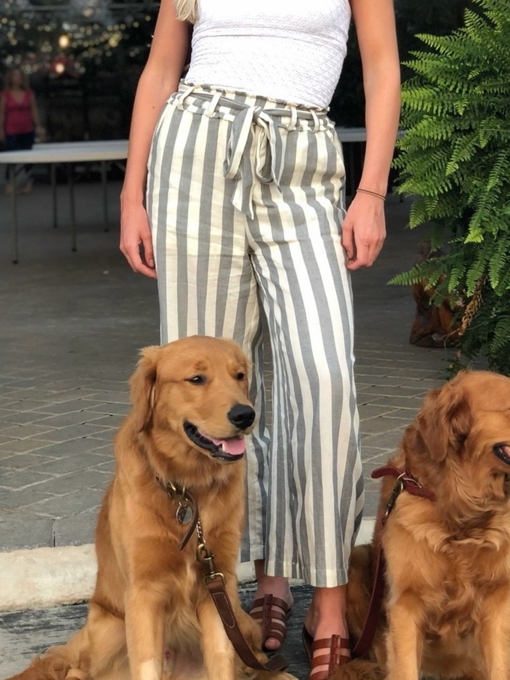 Moon River Gray & Cream Striped Paperbag Waist Pants